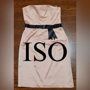 IN SEARCH OF Mean Girls Regina George Prom Dress